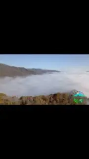 Fog in the Valley - Beautiful early morning fog settled into Unicoi County stretching from Flag Pond TN as far North to Erwin TN and beyond! Fall color is quickly fading but I really enjoyed flying this morning and creating this unique view of our region with a nice temperature inversion and fall foliage! #fog #video #temperatureinversion #weather #valley #foggymorning #foggyvalley #foggymountain #smokeonthemountain #fall #foliage #dronevideography #dronevideo #dronepilot #djimini3pro #tennessee #easttennessee #unicoicounty #erwintn #appalachianmountains #appalachia #nature #meteorology