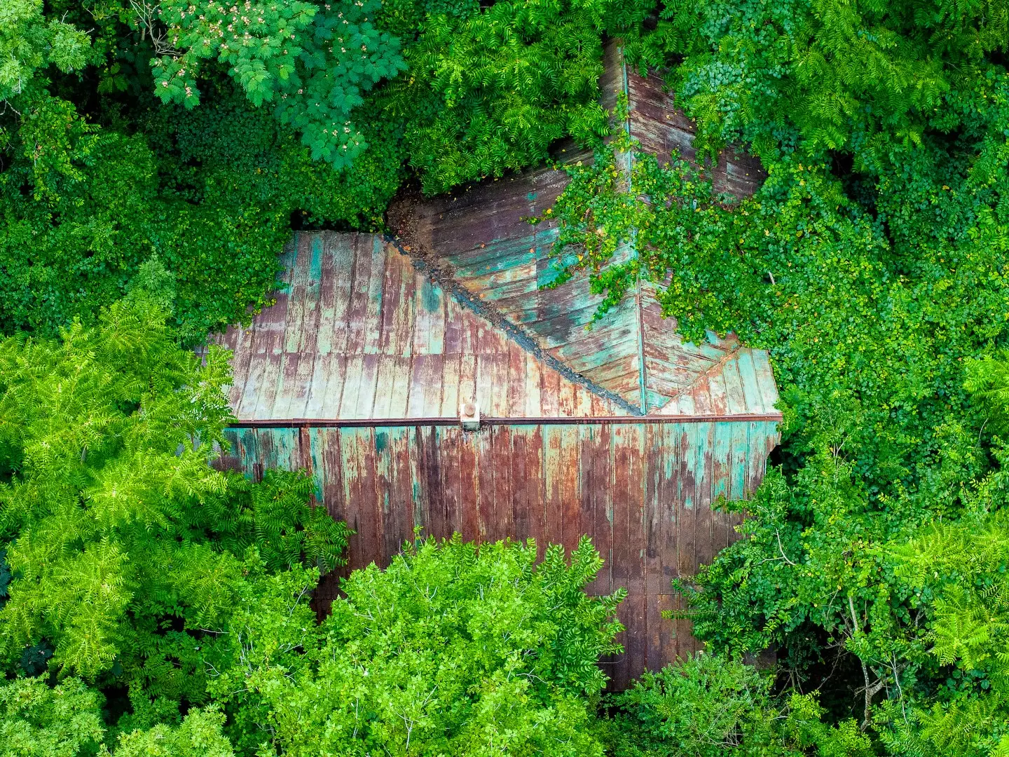 The patina on this 1920’s era roof is incredible! I saw this roof while photographing property for a client. He plans clear the undergrowth and leave the house. Later on this year I will photograph the property once the land maintenance completes!
Visit appalachiandroneworks.com for more details of all the creative and technical services we offer!
#dronephotography #appalachianmountains #contentcreator #droneinspection #landscapemanagement